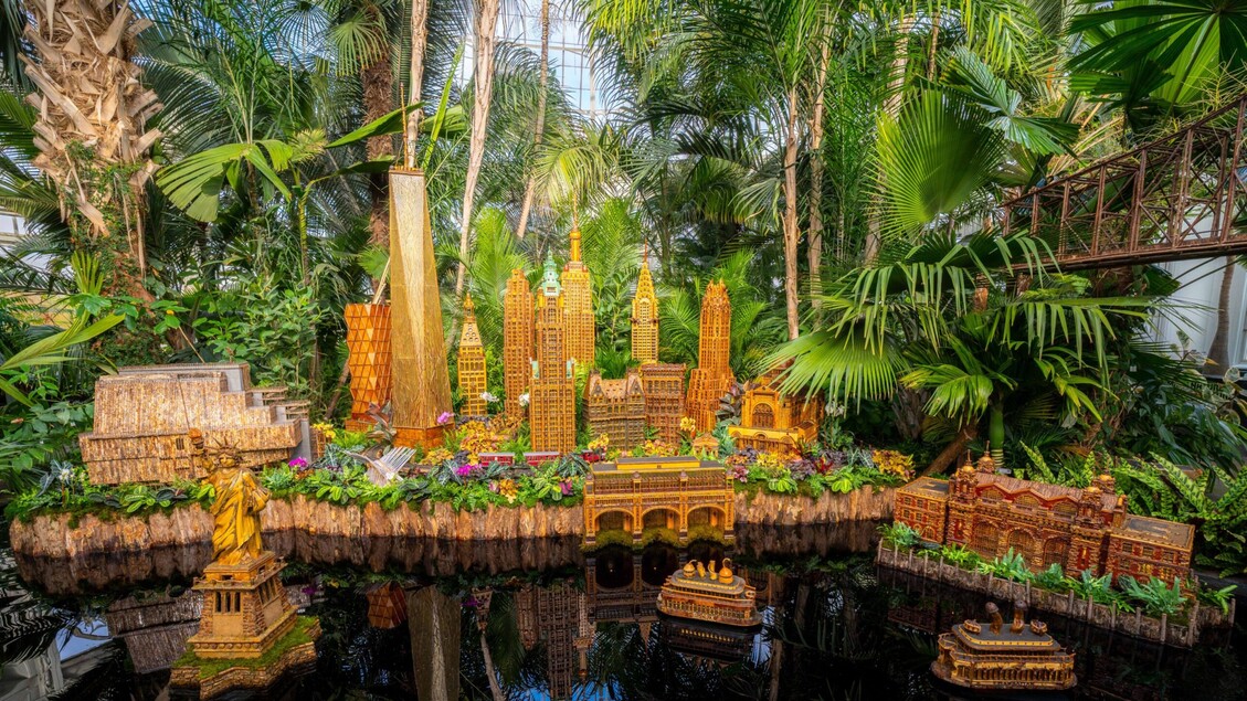 Un giardino urbano: mini New York nel Bronx